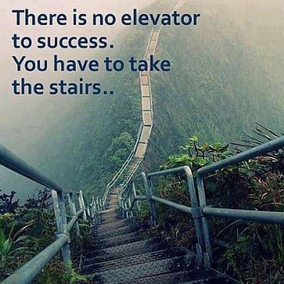 Meet your Posher, Mimi - Picture 1 of 1